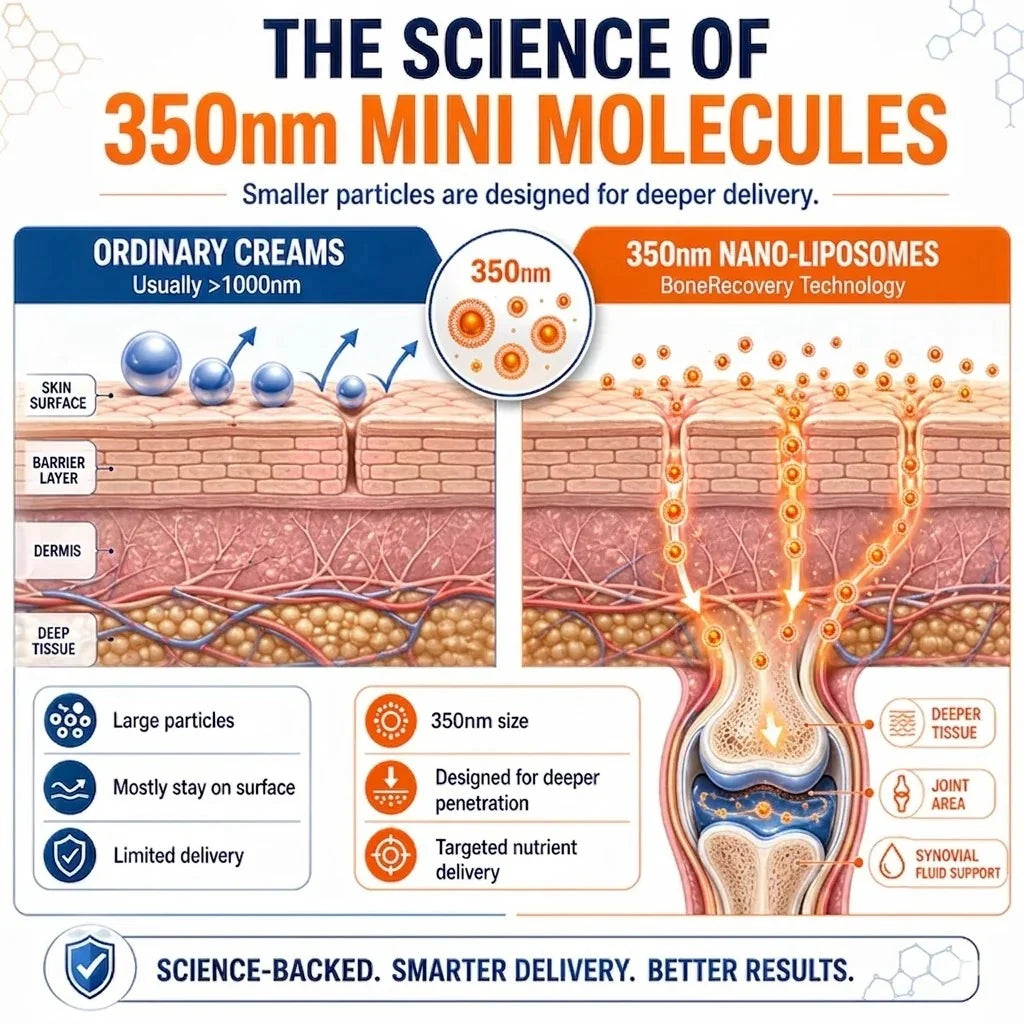 Diagram comparing ordinary creams over 1000nm versus 350nm nano-liposomes for deeper delivery